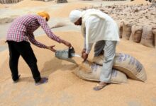 Wheat procurement at MSP in Madhya Pradesh to begin from April 1