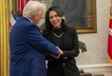 Tulsi Gabbard backs Trump as counter terrorism chief quits over Iran war