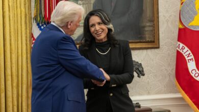 Tulsi Gabbard backs Trump as counter terrorism chief quits over Iran war