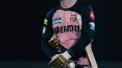 NSW rope in ex-Australia wicketkeeper Brad Haddin as new men’s head coach