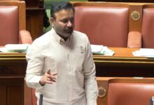 Karnataka Assembly debates DJ music at festivals, govt seeks BJP support for ban