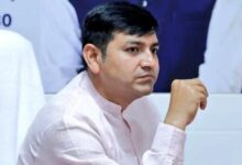 Gujarat: 2.3 lakh trees planted in Sabarkantha district under ‘Green Wall of Aravalli’ project