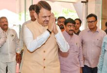 Civic bodies to get powers to act against plastic flower markets: CM Fadnavis