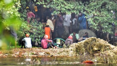 Dharmasthala mass burial case: Karnataka HC asks govt to file investigation report