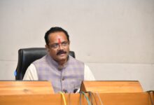 Gujarat to host state-wide Millet Mahotsav across 16 cities on March 21–22