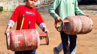 Govt warns consumers on cyber fraud linked to LPG bookings