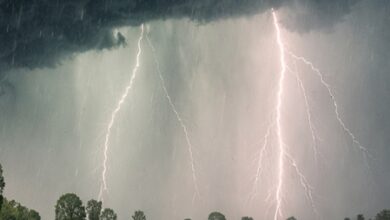 IMD warns of thunderstorms, hail across Madhya Pradesh till March 21