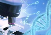 BioE3 advances India’s gene‑editing and cell therapy drive: Minister