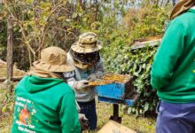 Manipur: Over 100 farmers get training to ramp up honey production in Tamenglong​