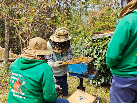 Manipur: Over 100 farmers get training to ramp up honey production in Tamenglong​