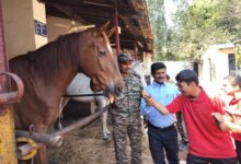 MP: Specially-abled students from Army school have fun outing with military horses​