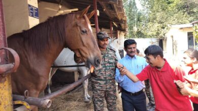 MP: Specially-abled students from Army school have fun outing with military horses​