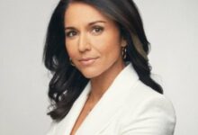 China eyes AI dominance, Taiwan leverage: Tulsi Gabbard​