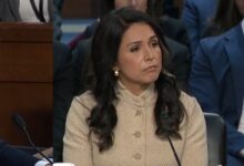 Pakistan ICBM push raises US threat: Tulsi Gabbard​