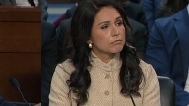 Pakistan ICBM push raises US threat: Tulsi Gabbard​