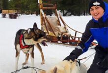 Bhagyashree enjoys wolf-driven sleigh ride during romantic Finland getaway with Himalay