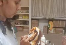 Veterinarian killed in hippopotamus attack in zoo, K’taka govt orders probe