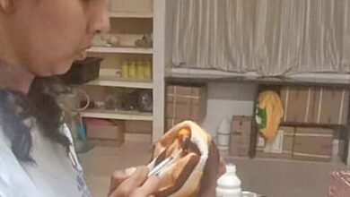 Veterinarian killed in hippopotamus attack in zoo, K’taka govt orders probe