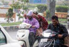Scattered rain, thunderstorms lash MP; IMD issues alerts