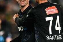 3rd T20I: Bowlers shine as NZ seal 8-wicket win over South Africa