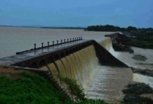 Five engineering students drown in Godavari River
