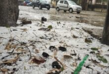 Bihar: Met Dept issues red alert in 16 districts after hailstorm