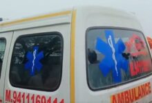 Mathura cow vigilante dies after alleged hit by cattle smugglers’ vehicle; one held