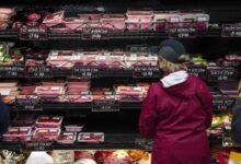 Namibia declares FMD control area to protect meat export status