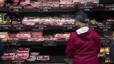 Namibia declares FMD control area to protect meat export status