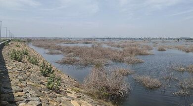 Delayed Marudaiyaru dam emerges as key election issue in TN’s Perambalur