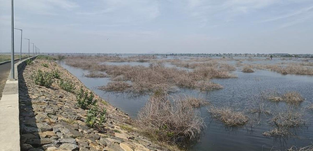 Delayed Marudaiyaru dam emerges as key election issue in TN’s Perambalur Delayed Marudaiyaru dam emerges as key election issue in TN’s Perambalur