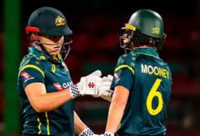 ‘I don’t think you can ever feel comfortable,’ says Georgia Voll on her role as opener