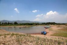 Climate change devastates rivers, livestock and crops in Pakistan: Report