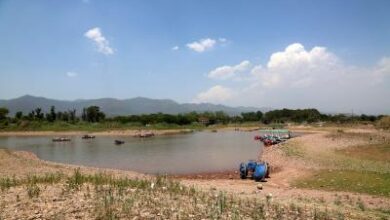 Climate change devastates rivers, livestock and crops in Pakistan: Report Climate change devastates rivers, livestock and crops in Pakistan: Report