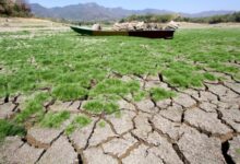 Earth’s climate swings increasingly out of balance: WMO
