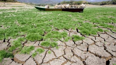 Earth’s climate swings increasingly out of balance: WMO Earth’s climate swings increasingly out of balance: WMO