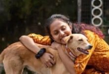 Karnataka govt to name elephant calf after trainee vet who died in hippo attack