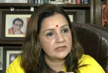 ‘There were heroes, so there were villains too’: Priyanka Chaturvedi on Jinnah chapter row