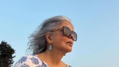 Zeenat Aman appeals to CM Pramod Sawant to address the ecological destruction of Goa