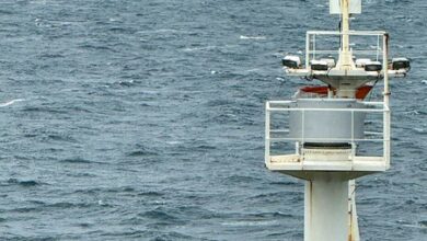 Guiding through danger: How Indian Navy is steering ships across Strait of Hormuz