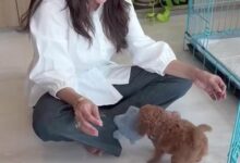 Madhuri Dixit shares a cute video of her playtime with her tiny pup, calls it a ‘gem in her archives’