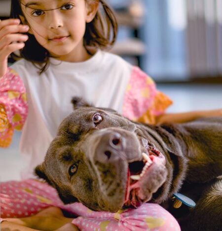 Salman Khan’s sister Arpita Khan shares a heartwarming pic of her little ‘beauty’ Ayat with her ‘beast’