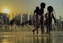 Climate change ‘accelerating’ damage to Australia’s ecosystems, wildlife: Report