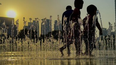 Climate change ‘accelerating’ damage to Australia’s ecosystems, wildlife: Report
