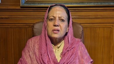 ‘Could continue to raise Himachal’s voice in Parliament’: Ex-HP Cong President Pratibha Singh
