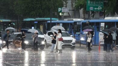 South Korean govt to strictly enforce five-day vehicle rotation system for public sector