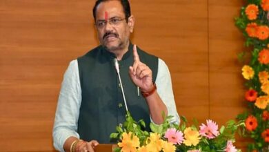 Gujarat to open ‘i-Khedut’ portal from March 27 for farm aid applications under 148 components