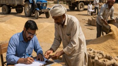 Directions issued to ensure maximum wheat procurement in Rajasthan at high-level meeting Directions issued to ensure maximum wheat procurement in Rajasthan at high-level meeting