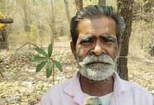 Financial aid from govt brings relief to over 23,000 landless labourers in Chhattisgarh’s Dhamtari