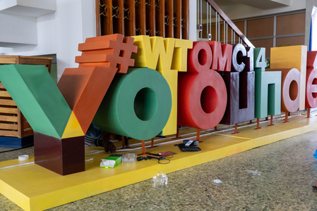 India backs focus on Global South in WTO reforms